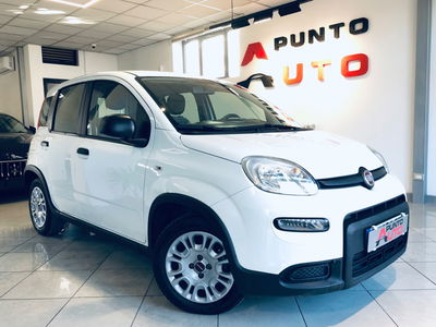 Fiat Panda 1.0 FireFly S&S Hybrid City Life usata