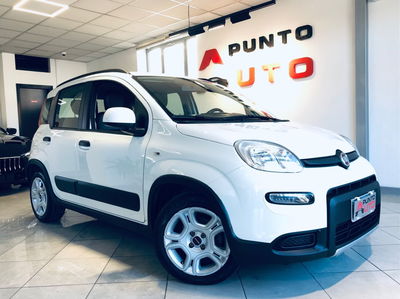 Fiat Panda 1.0 FireFly S&S Hybrid City Cross usata