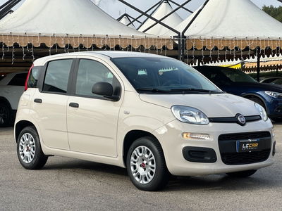 Fiat Panda 0.9 TwinAir Turbo S&S Easy usata