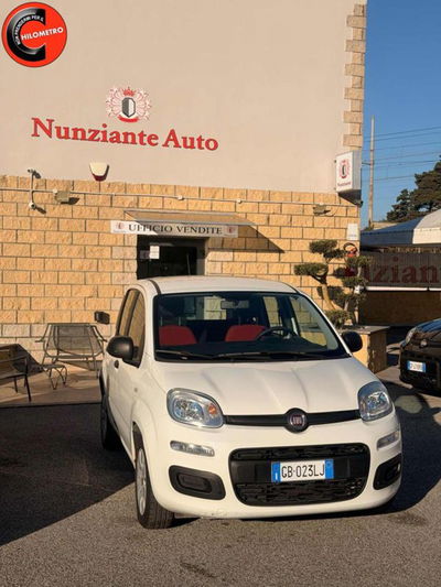 Fiat Panda 1.2 Pop usata