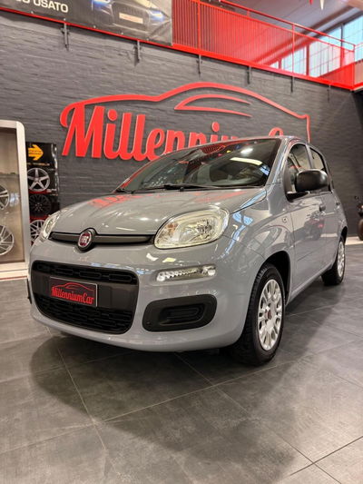 Fiat Panda 1.2 Easy usata