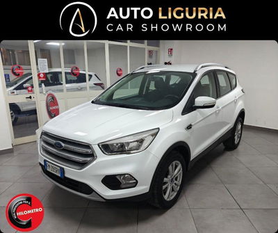 Ford Kuga 1.5 TDCI 120 CV S&S 2WD Business usata