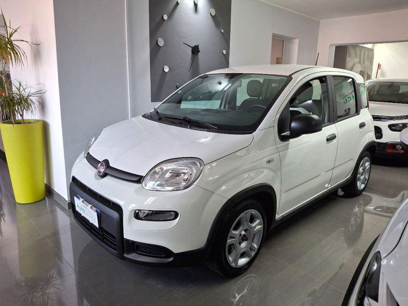 Fiat Panda 1.0 firefly hybrid s&s 70cv 5p.ti