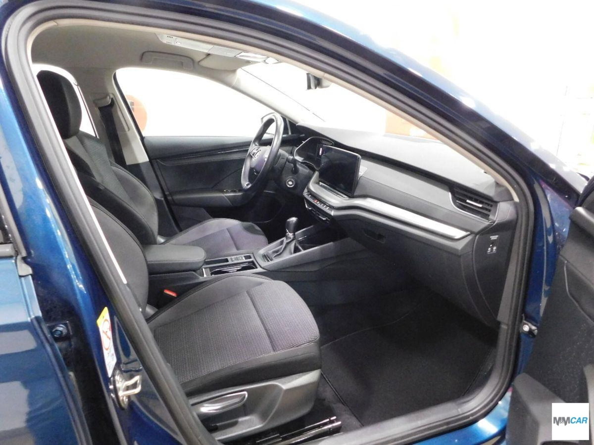 Skoda Octavia Station Wagon 2.0 tdi Executive 115cv (6)