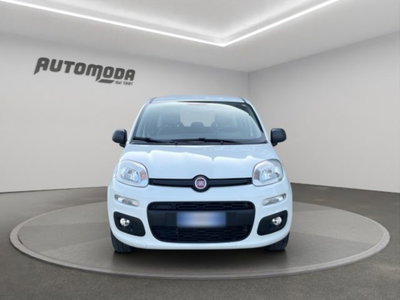 Fiat Panda 1.2 Easy (2)