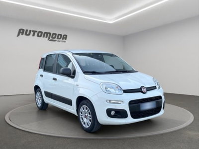 Fiat Panda 1.2 Easy (3)