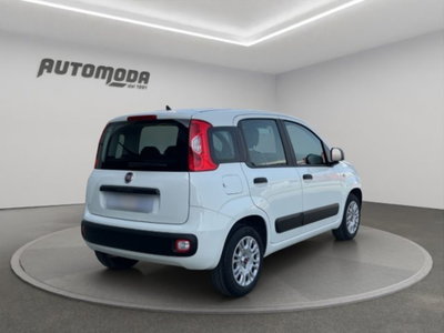 Fiat Panda 1.2 Easy (4)