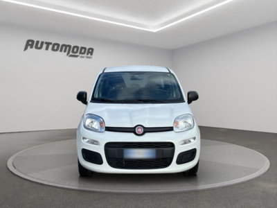 Fiat Panda 1.2 Easy (2)