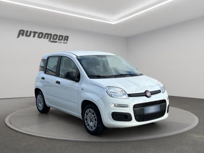 Fiat Panda 1.2 Easy (3)