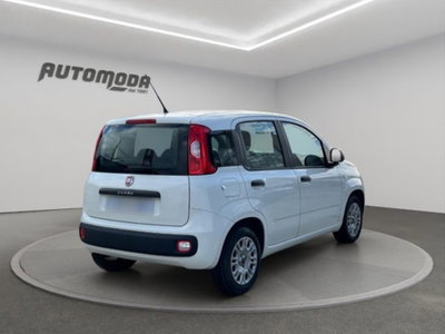 Fiat Panda 1.2 Easy (4)