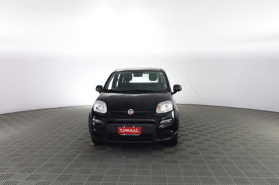 Fiat Panda Cross Cross 1.0 FireFly S&S Hybrid usata