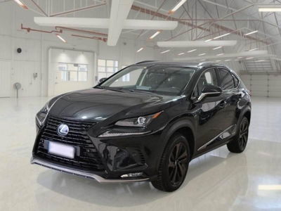 Lexus NX Hybrid 4WD Premium usata