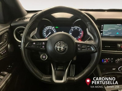 Alfa Romeo Stelvio Stelvio 2.2 Turbodiesel 210 CV AT8 Q4 Veloce (13)