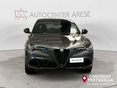 Alfa Romeo Stelvio Stelvio 2.2 Turbodiesel 210 CV AT8 Q4 Veloce (9)