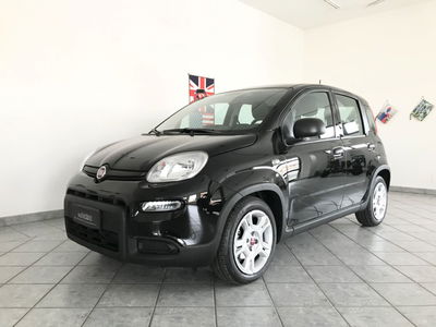 Fiat Panda 1.0 FireFly S&S Hybrid City Life usata