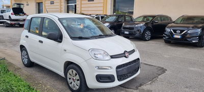 Fiat Panda 1.2 Easy usata