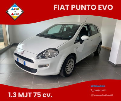 Fiat Punto 1.3 MJT II 75 CV 5 porte Street usata