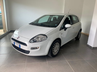 Fiat Punto 1.3 MJT II 75 CV 5 porte Street (9)