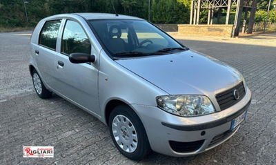 Fiat Punto Classic 1.2 5 porte Active usata
