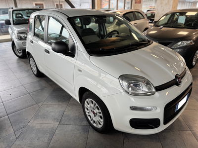 Fiat Panda 1.3 MJT S&S Easy usata