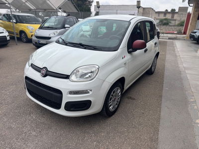 Fiat Panda 1.2 Lounge usata