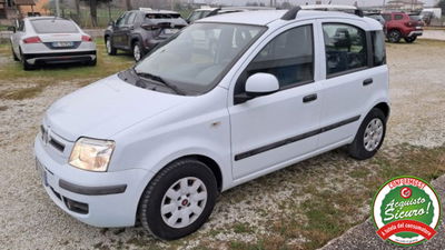 Fiat Panda 1.2 Dynamic usata