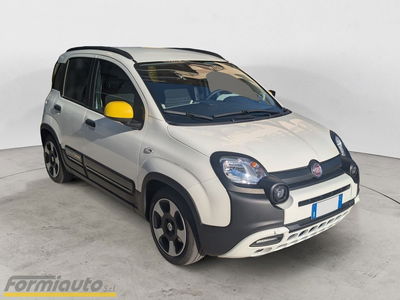 Fiat Panda Cross Cross 1.0 FireFly S&S Hybrid usata