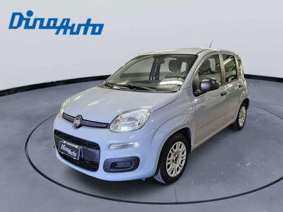 Fiat Panda 1.2 Easy usata