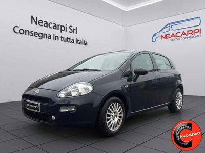 Fiat Punto 1.3 MJT II S&S 95 CV 5 porte Easy usata