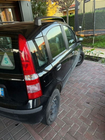 Fiat Panda 1.1 Active usata