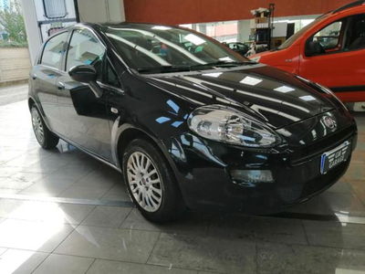 Fiat Punto 1.2 8V 5 porte Street usata