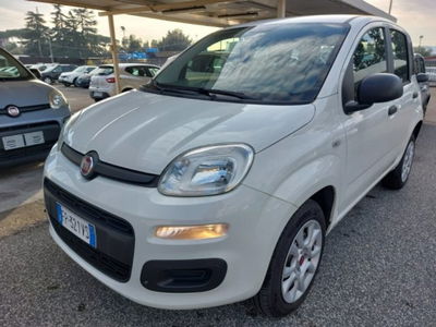 Fiat Panda 0.9 TwinAir Turbo Natural Power Easy usata