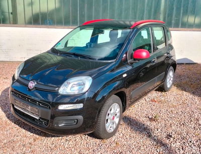Fiat Panda 0.9 TwinAir Turbo S&S Lounge usata