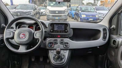 Fiat Panda 1.0 firefly hybrid s&s 70cv 5p.ti (7)