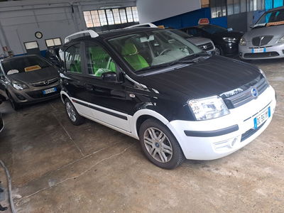 Fiat Panda 1.2 Dynamic usata