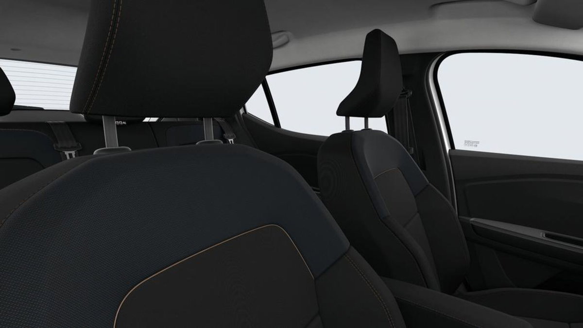 Dacia Sandero Stepway 1.2 Eco-G Essential 120cv (6)