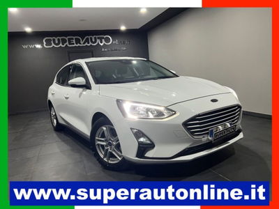 Ford Focus 1.5 EcoBlue 120 CV 5p. Business usata