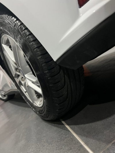 Ford Focus 1.5 EcoBlue 120 CV 5p. Business (14)