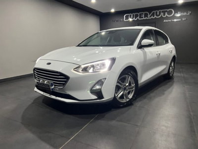 Ford Focus 1.5 EcoBlue 120 CV 5p. Business (3)