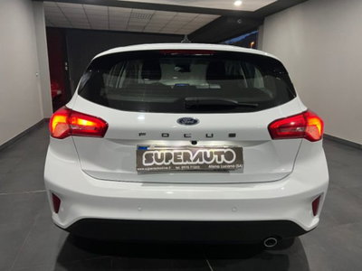 Ford Focus 1.5 EcoBlue 120 CV 5p. Business (5)