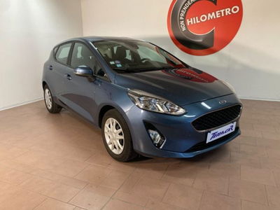 Ford Fiesta 1.1 85 CV 5 porte Business usata