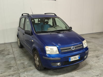 Fiat Panda 1.2 Dynamic usata