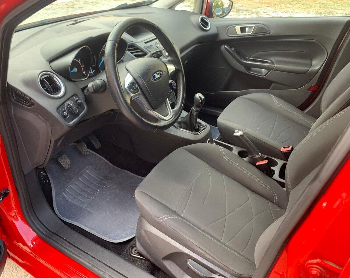 Ford Fiesta 1.4 5 porte Bz.- GPL Black & White Edition (10)