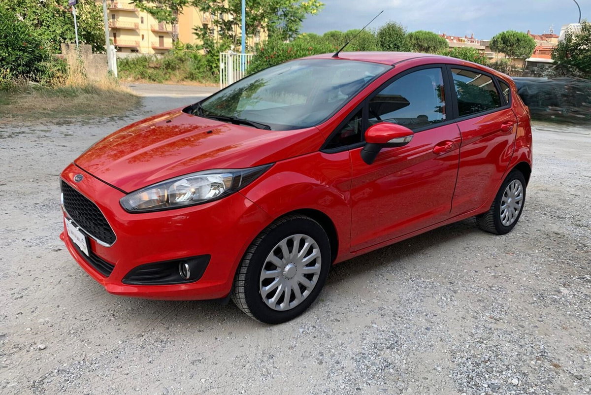 Ford Fiesta 1.4 5 porte Bz.- GPL Black & White Edition (14)