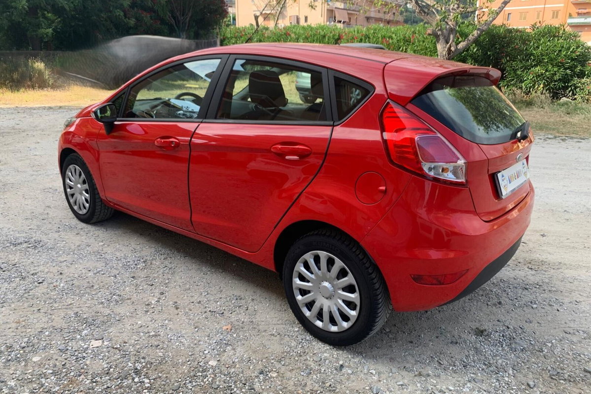 Ford Fiesta 1.4 5 porte Bz.- GPL Black & White Edition (5)