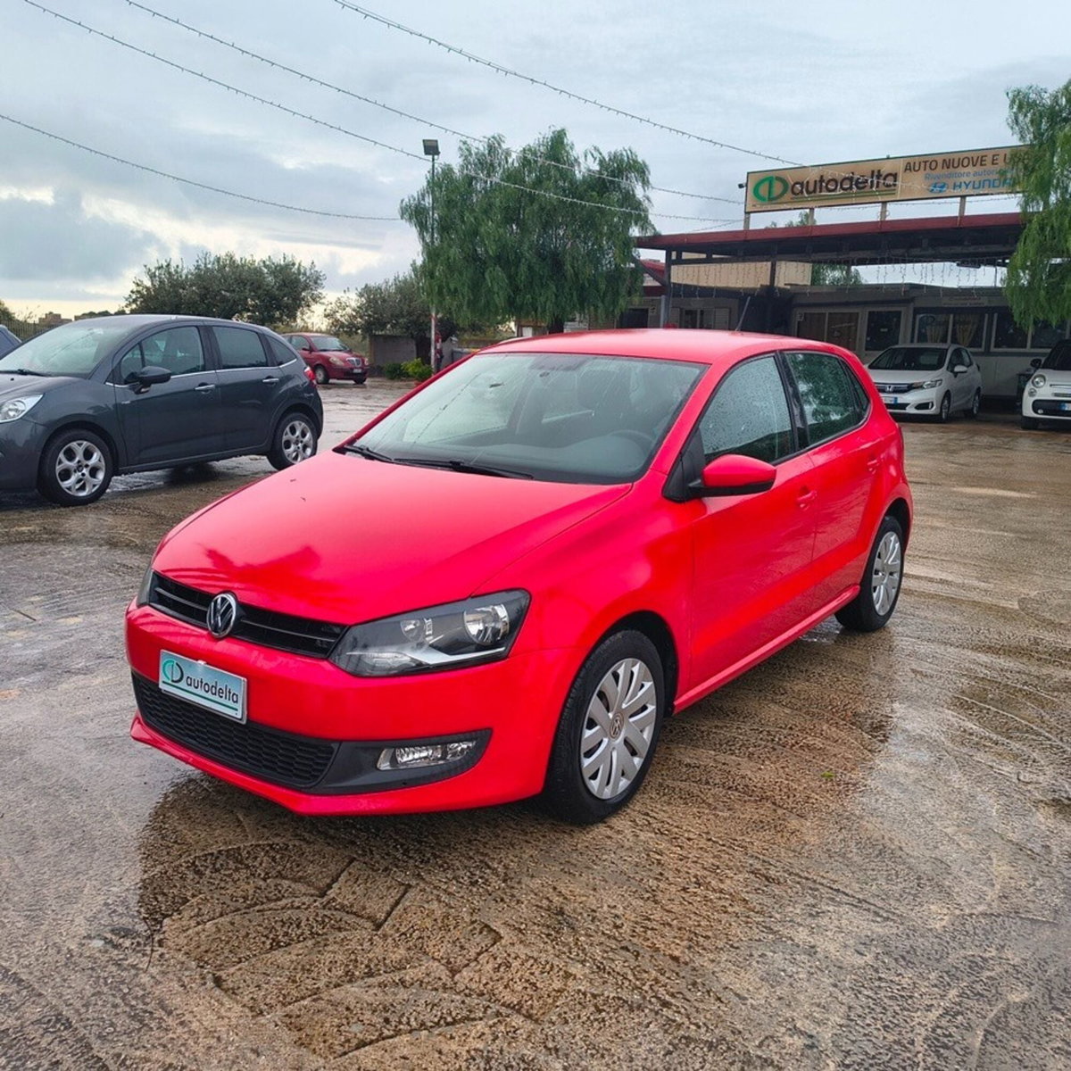 Volkswagen Polo 1.4 TDI 3p. Comfortline