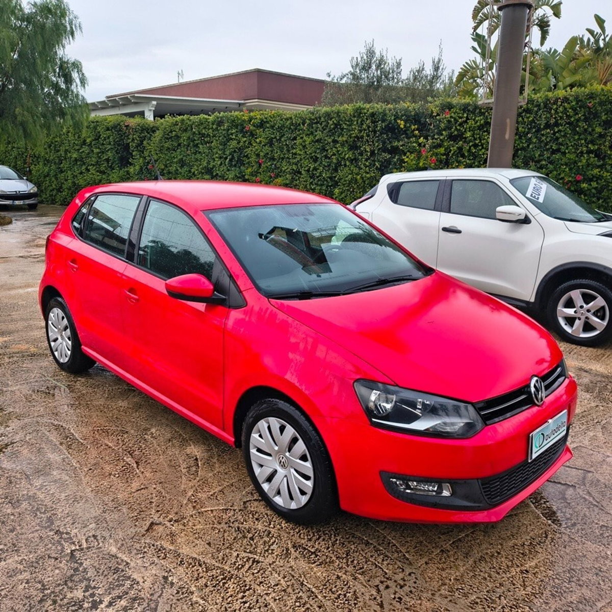 Volkswagen Polo 1.4 TDI 3p. Comfortline (4)