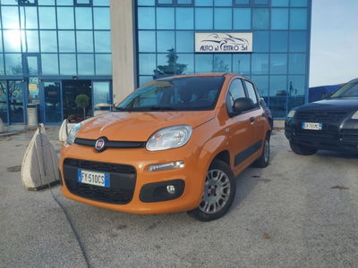 Fiat Panda 1.2 Easy usata