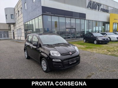 Fiat Panda 1.0 firefly hybrid s&s 70cv 5p.ti usata