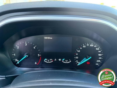 Ford Focus Station Wagon 1.5 EcoBlue 120 CV automatico SW Business (11)